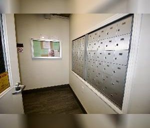 2 Bed + Den 1.5 Bath Underground Parking Glenora - Photo 5