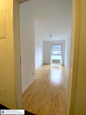 Linz/Urfahr/Jägerstraße: Traumlagewohnug mit Terrasse - Photo 1