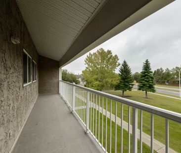 Morningside Estates - Photo 4