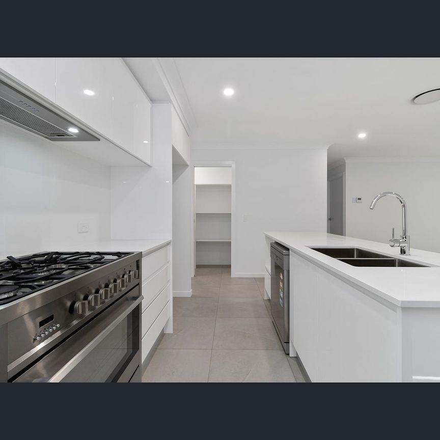 46 Tulloch Street, Logan Reserve, Qld 4133 - Photo 1