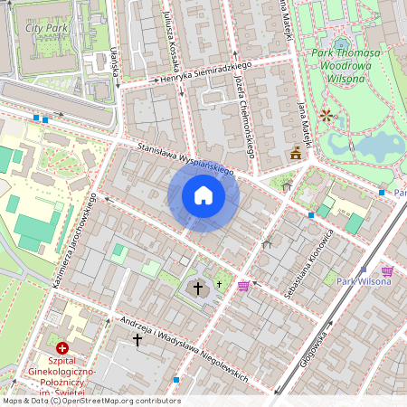 ul. Elżbiety Drużbackiej, Łazarz, Grunwald, Poznań, wielkopolskie