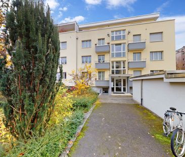 Living near Lake Lucerne - Photo 2