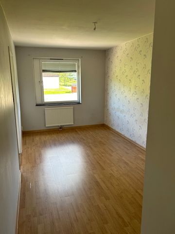 Textilvägen, Sågmyra - Foto 2