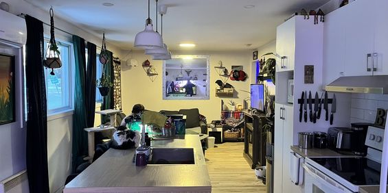 Grand 4 1/2 Sur 2 étages - Photo 3