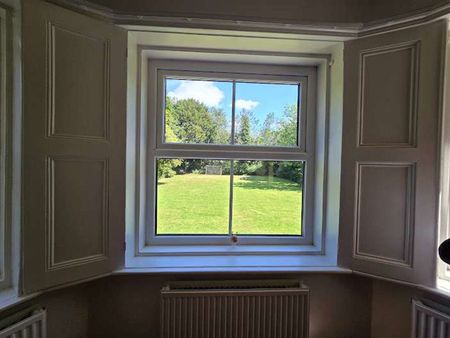 Enormous rooms for rent in beautiful Victorian house Room 14 - Photo 3