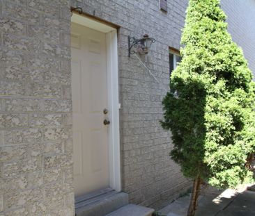 For Lease - 147 Jordanray Boulevard, Newmarket, Ontario - Photo 4