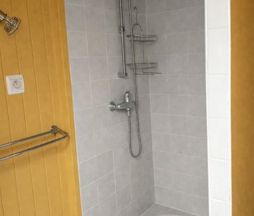 Location Appartement 1 pièce 18m² REMIREMONT 88200 - Photo 4