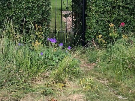 Semi-detached house to rent on - Photo 4