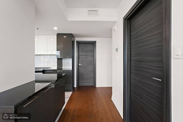 Petite-Italie/Rosemont Rental - Superb apartment for rent in Little Italy/Rosemont - Photo 1