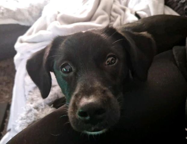 suchen 2 Zimmerwohnung Empelde ronnenberg - Foto 1