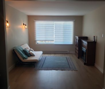 Grand 4-1/2 Renove A LaSalle - Photo 1