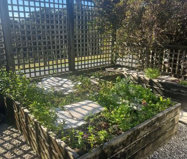 THE PERFECT SOLO PAD FOR SPRING - Photo 3