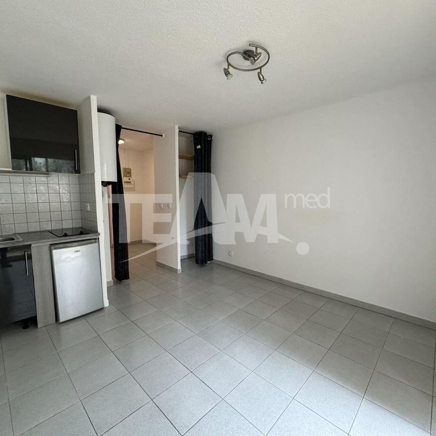 Location Appartement 1 pièce 19m² BALARUC LES BAINS 34540 - Photo 1
