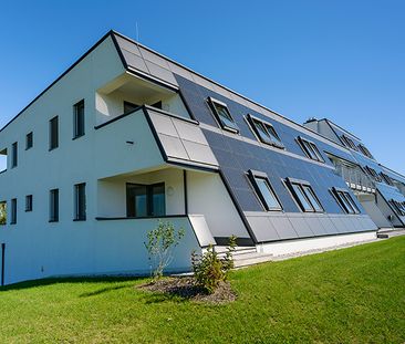 barrierefreie Wohnung in Gerersdorf - Foto 1