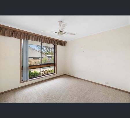 1/19 Elm St, Surrey Hills, Vic 3127 - Photo 4