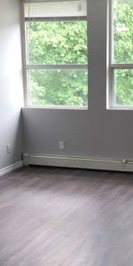 Canboro Garden - Photo 4