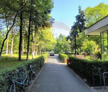 Garsoniera de inchiriat in Gheorgheni - Fotografie 5