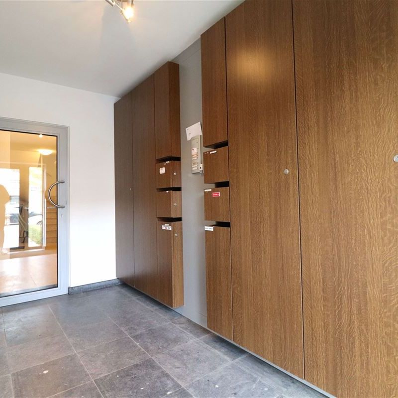 Appartement te huur in Brasschaat - Photo 1