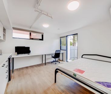 Large Studio - Photo 6