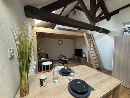 Location Appartement 1 pièce 24m² ANGERS 49000 - Photo 5