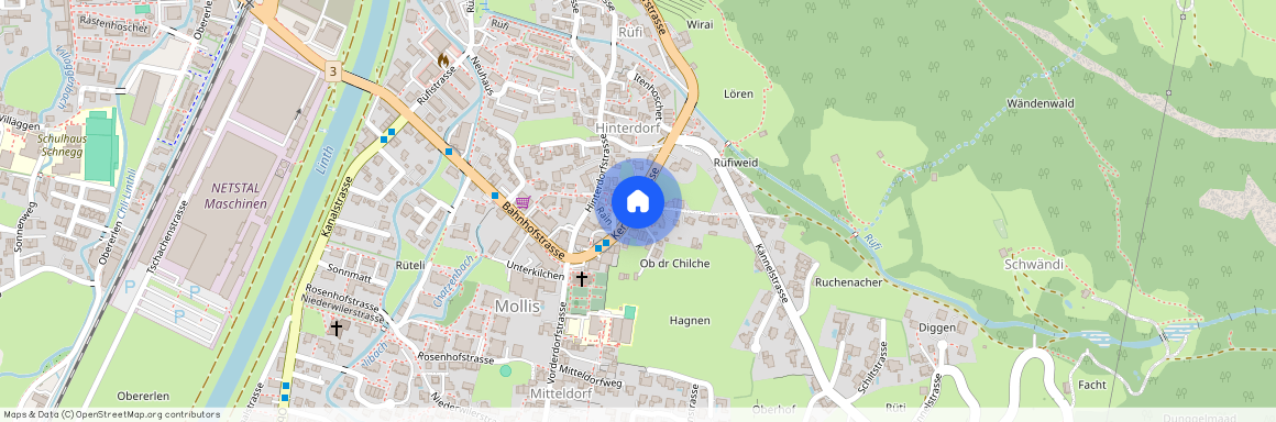 8753, Mollis, Seelmessgasse, 2