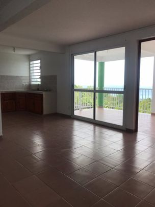 Vieux Habitants, (97119) - Photo 1