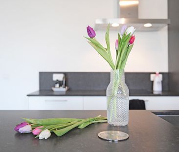 Appartement - Photo 2