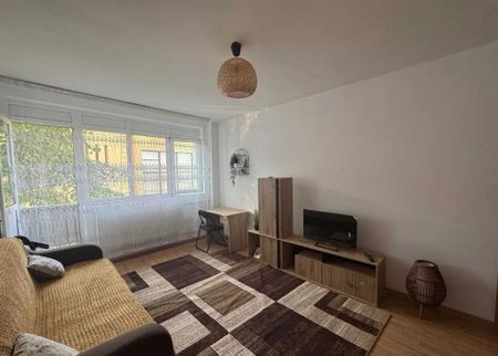 Garsoniera, Podu Ros - Cotnari - Fotografie 3