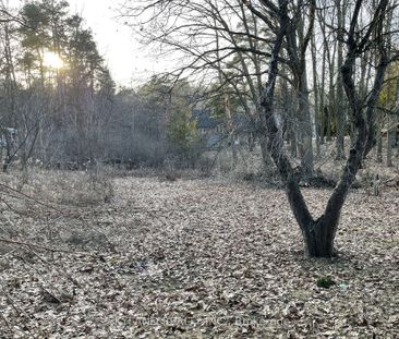 For Lease - 14170 Yonge Street Unit# Unit A, Aurora, Ontario - Photo 1