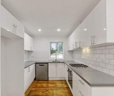 Fully renovated, four bedroom house with gas cooking and dishwasher! - Photo 2
