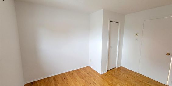 165 Rue Eddy (Hull) Appartement Au Centre-ville De Hull – Emplacement Exceptionnel! - Photo 3