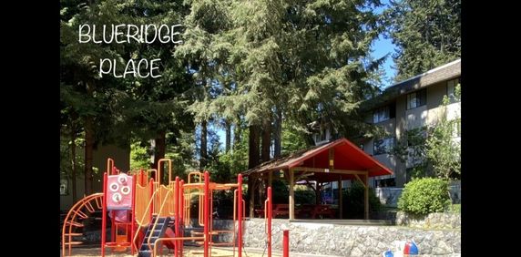 Blueridge Apartments - Photo 2