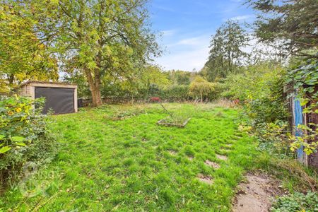 Magdalen Street, Eye, Diss - Photo 5