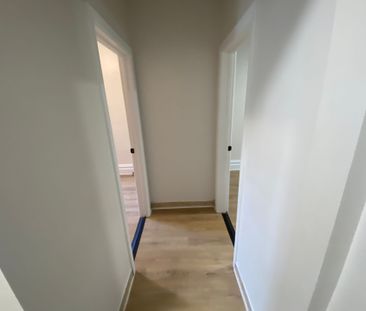 For Lease - 162 Ivy Crescent, New Edinburgh - Lindenlea, Ontario - Photo 6