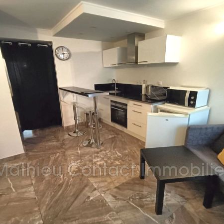Centre-ville, Location appartement 1 pièce 23 m² - Photo 3