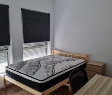 Springfield - Photo 4