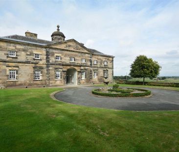 3 bedroom penthouse to rent - Photo 1