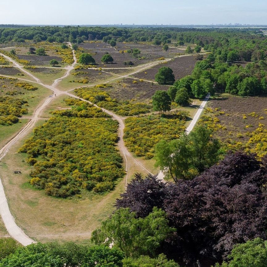 Beschrijving Kolhornseweg - Photo 1