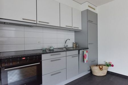 Vie moderne et centrale à Root - Photo 2