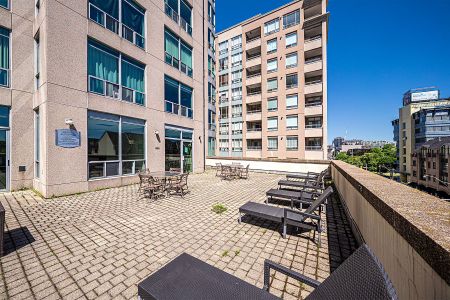 For Lease - 942 Yonge Street Unit# PH113, Toronto, Ontario - Photo 5