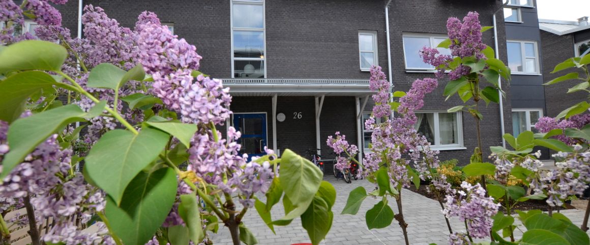 Koriandervägen 26 - Photo 1