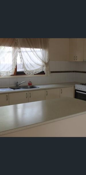 Neat & Convenient 1-Bedroom Unit in the Heart of Belmont - Photo 1