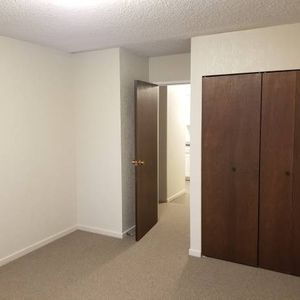 1BR apartment - Photo 2