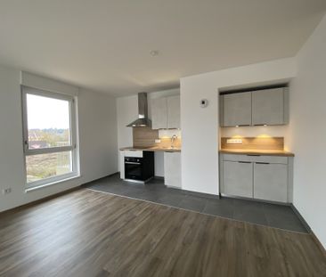 Location Appartement 3 pièces 67m² MITTELHAUSBERGEN 67206 - Photo 1