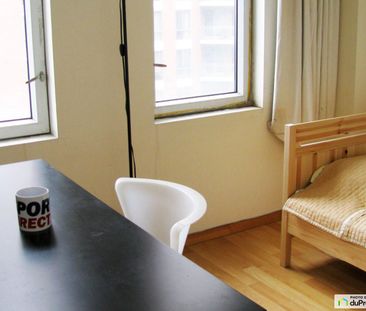 850-1055, rue St-Mathieu, Ville-Marie (Centre-Ville et Vieux-Montré... - Photo 4