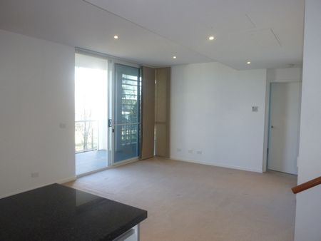 34/41 Blackall Street, Barton ACT 2600 - Apartment For Rent | Domain - Photo 5