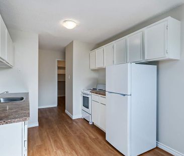 Renovated Suite - 1 Bedroom - Photo 4