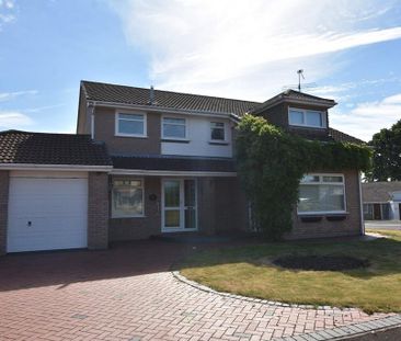 4 bedroom detached house to rent - Photo 3