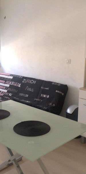 Location Appartement 1 pièce 20m² ALBI 81000 - Photo 1