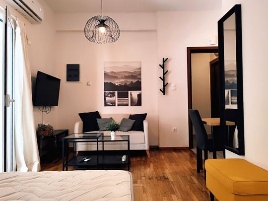 Studio/Γκαρσονιέρα για ενοικίαση Κυνοσάργους (Νέος Κόσμος) - Photo 1